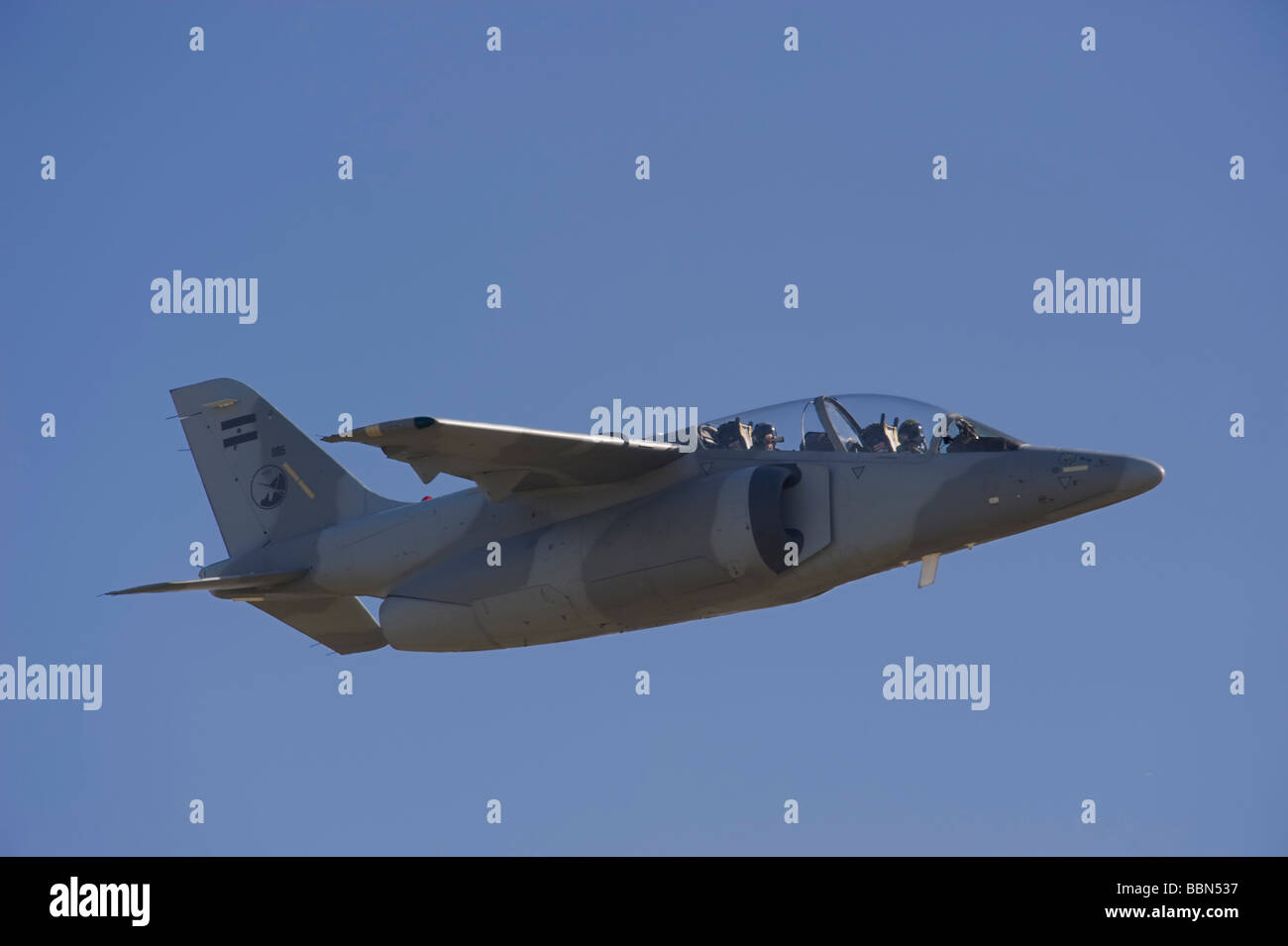 Argentinische Air Force IA-63 oder AT-63 Pampa Stockfoto
