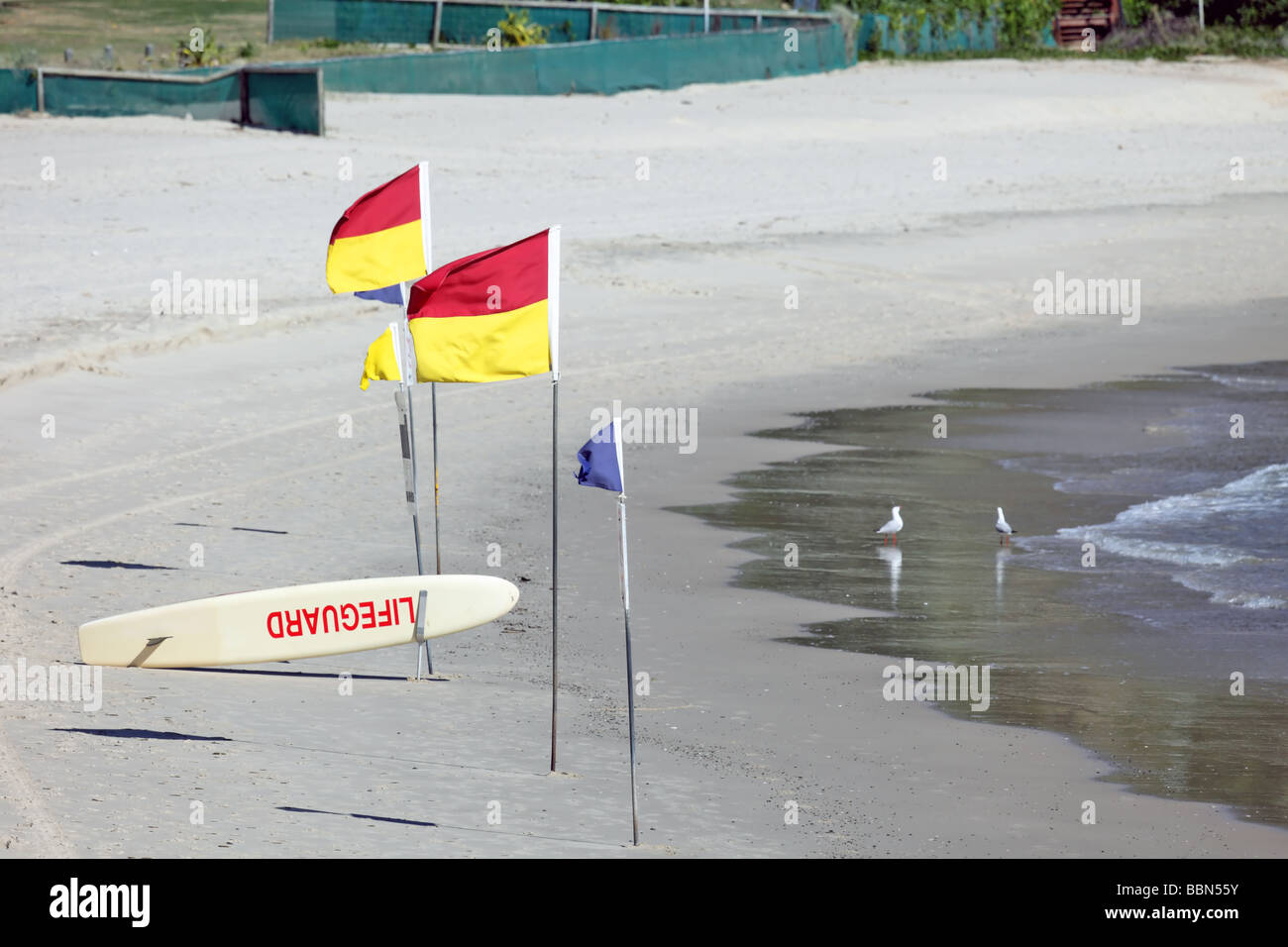 Zwischen den Flaggen für Sicherheit im Ozean schwimmen Stockfoto