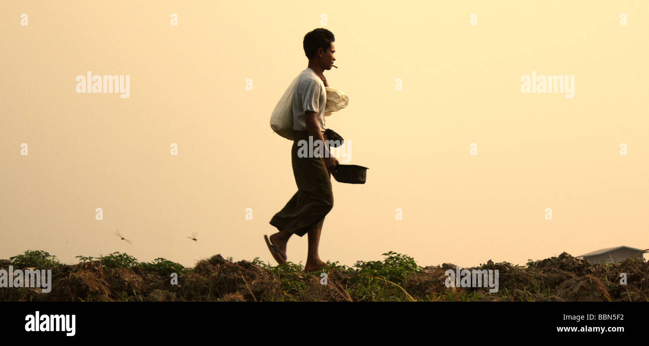 Burmesische Mann gefolgt von Libellen, Inle-See-Region, Burma Stockfoto