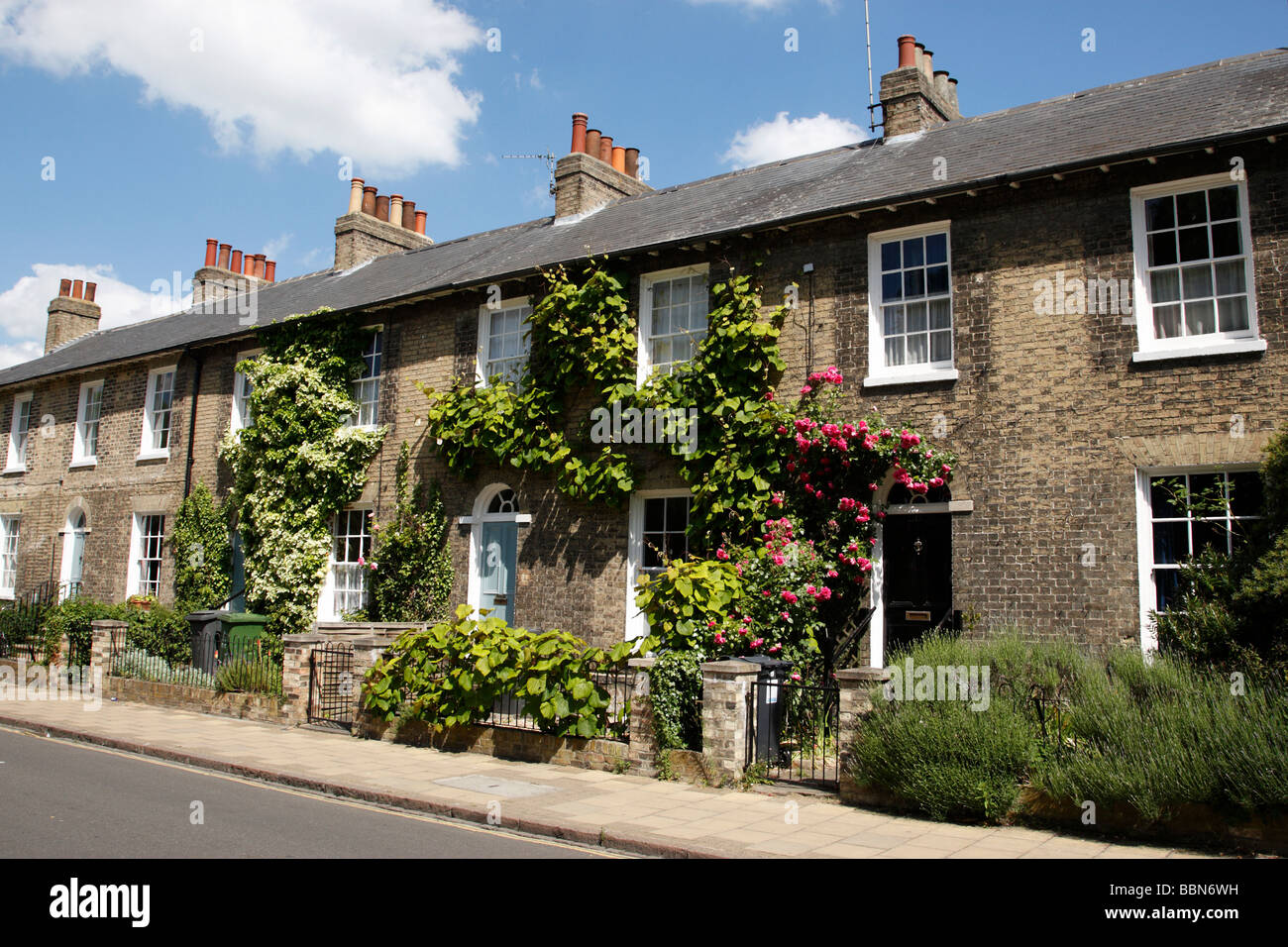 typische Reihenhaus Eden Strasse in der Nähe der Grafton centre Cambridge uk Stockfoto