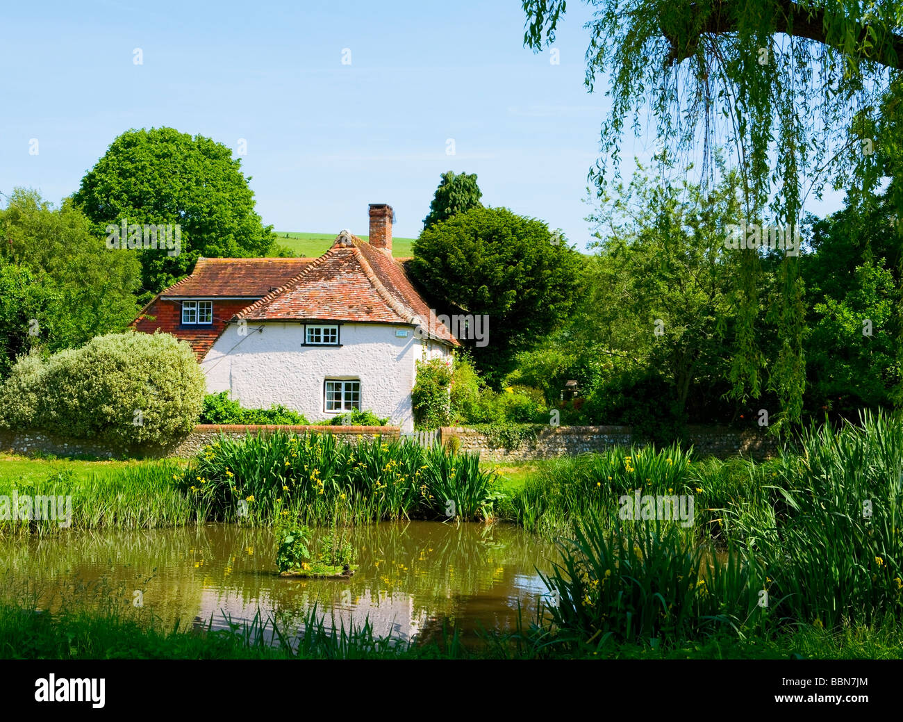 East Dean Dorfteich, West Sussex, Großbritannien Stockfoto