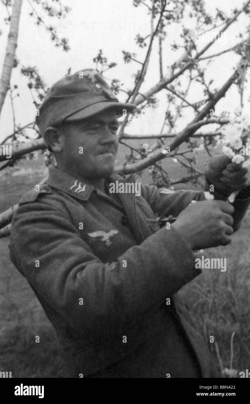 Ereignisse, Zweiter Weltkrieg / Zweiter Weltkrieg, Russland 1944 / 1945, Krim, Sewastopol, deutscher Luftwaffensoldat Baumblüten zupft, 30.4.1944, Ostfront, UdSSR, Wehrmacht, 20. Jahrhundert, historisch, historisch, Sowjetunion, Soldaten, Frühling, Blumen, Uniform, Uniformen, vierziger Jahre, Menschen, Stockfoto