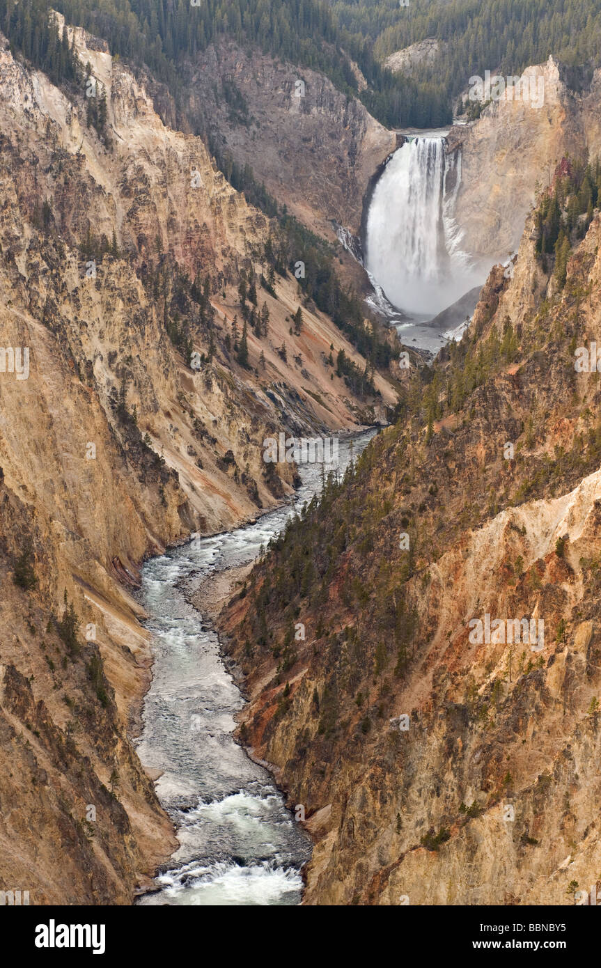 Grand Canyon des Yellowstone National Park Stockfoto