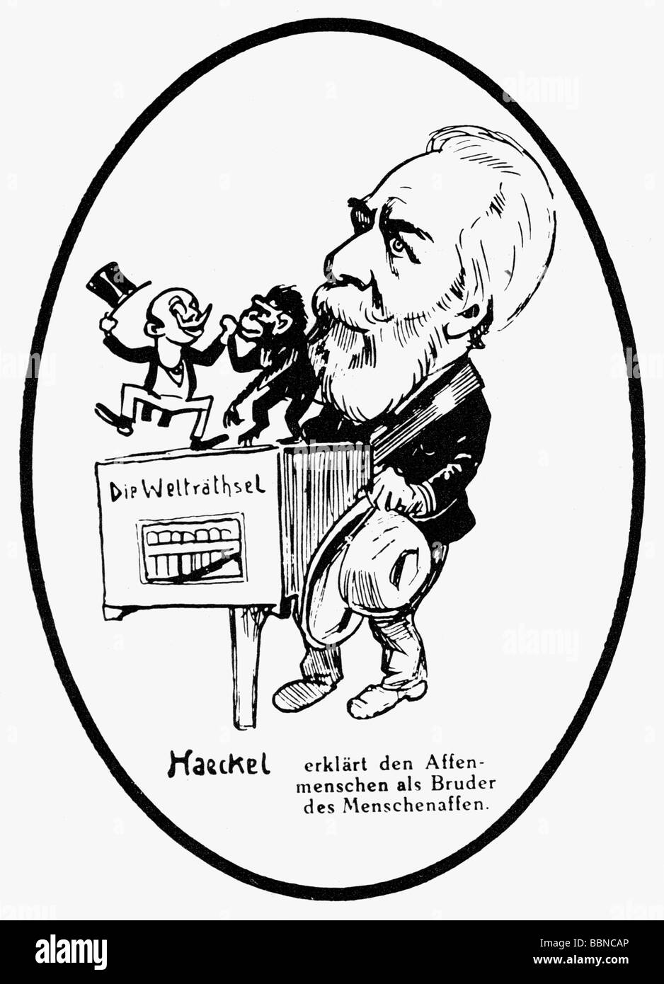 Haeckel, Ernst, 16.2.1834 - 9.8.1919, deutscher Anthropologe, Karikatur "Haeckel erklärt den Apeman als Bruder von Affe", Zeichnung von W. A. Wellner, "Lustige Blätter", ca. um das Jahr 1895, Stockfoto