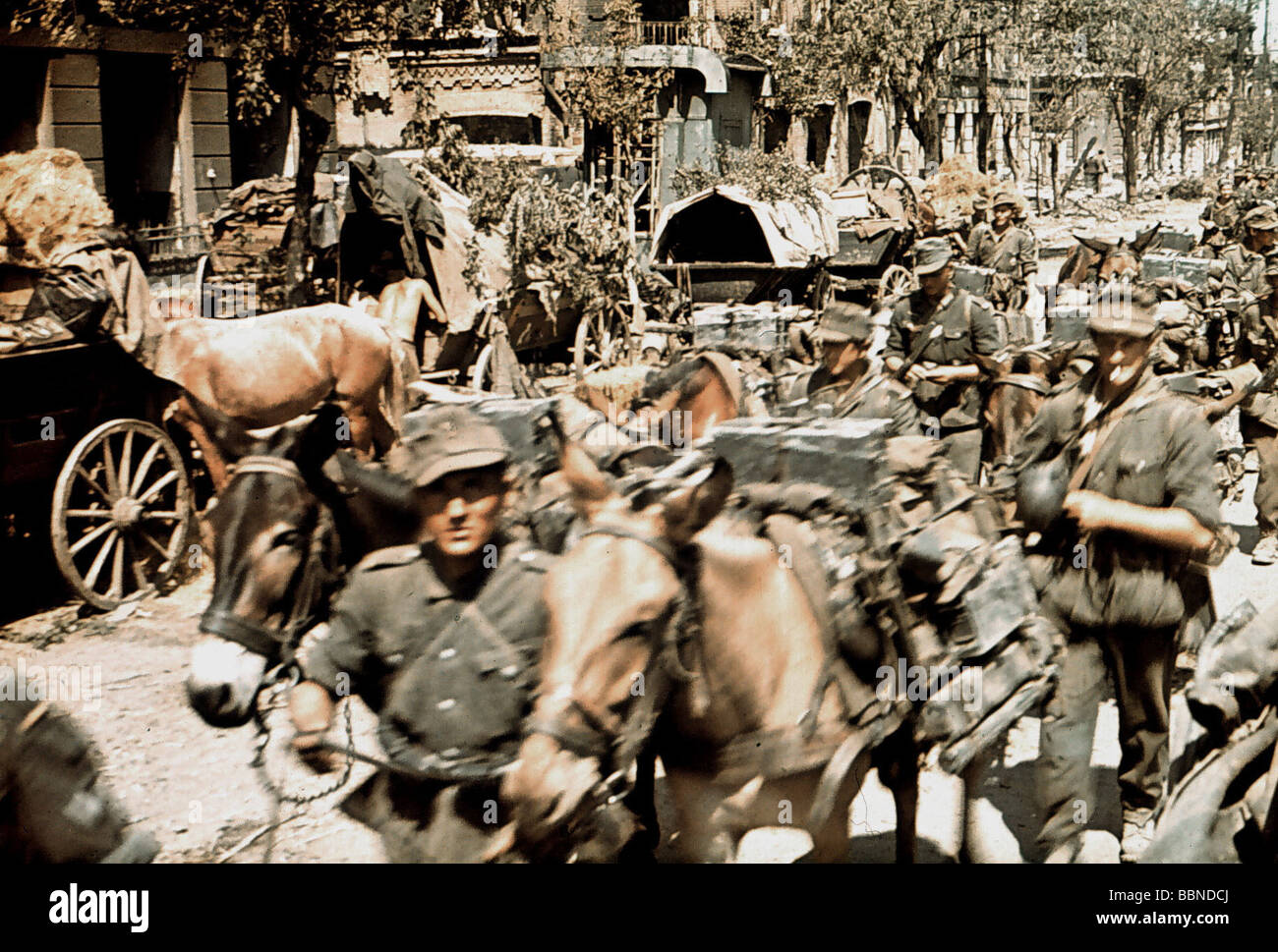 Operation barbarossa 1941 Fotos und Bildmaterial in hoher Auflösung