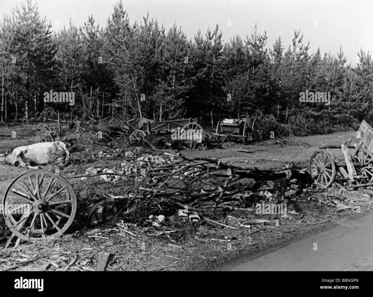 Ereignisse, Zweiter Weltkrieg/zweiter Weltkrieg, Russland 1941, Sowjetzäule nach deutschem luftangriff zwischen Bialystok und Vaukavysk, zerstörte Karren und tötete Pferde, Juli 1941, Stockfoto