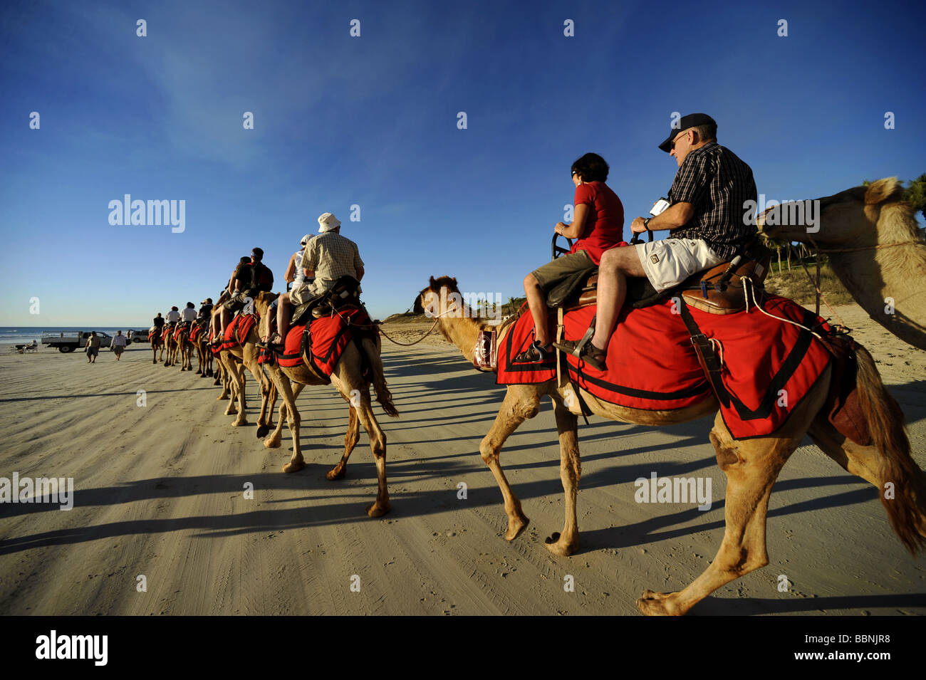 Touristen genießen einen Sonnenuntergang Kamelritt entlang Cable Beach in Broome, Western Australia. Stockfoto