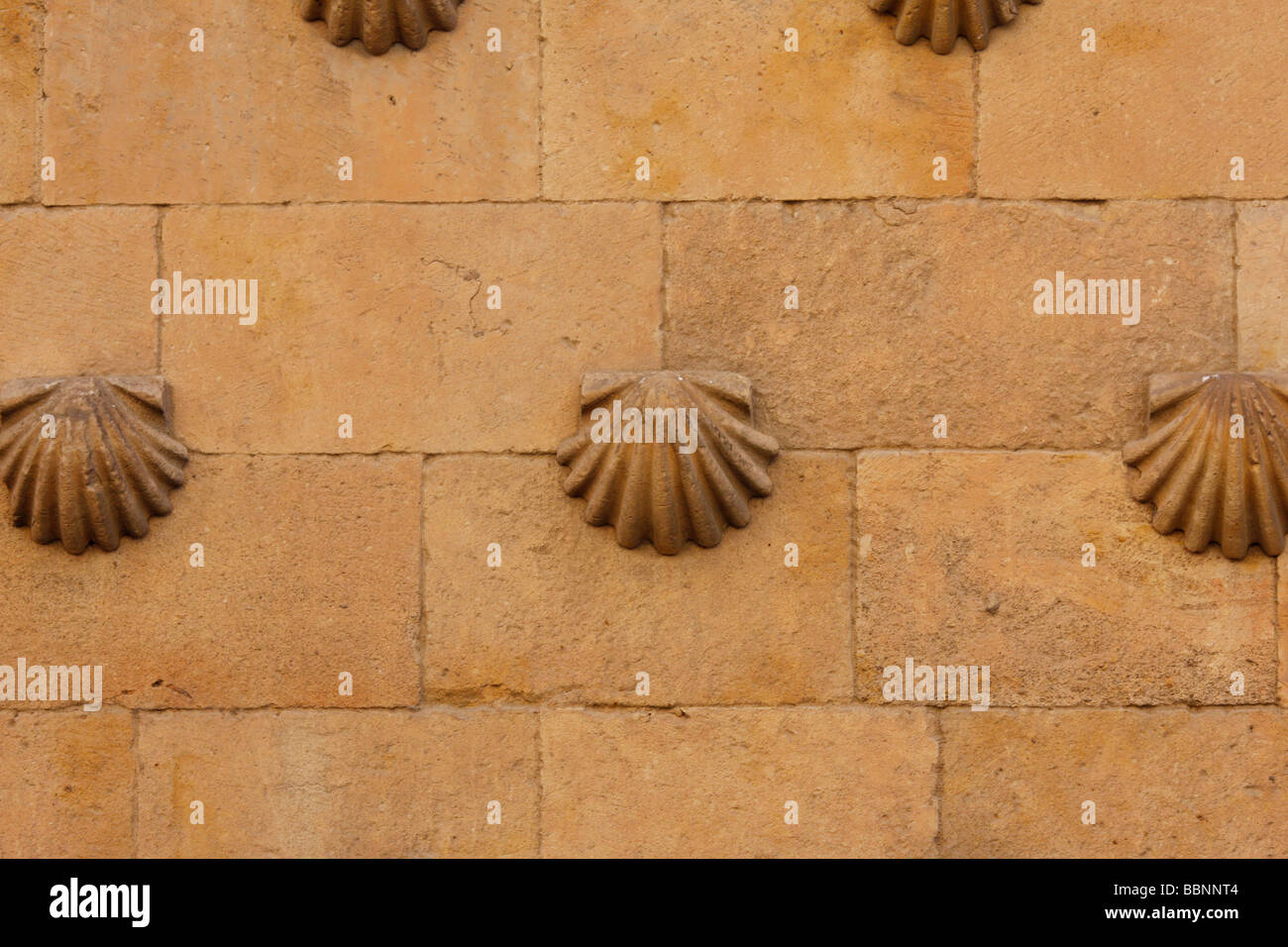 Muscheln an der Wand auf die Casa De La Conchos, Haus der Muscheln, die öffentliche Bibliothek in Salamanca Spanien zum UNESCO-Weltkulturerbe Stockfoto