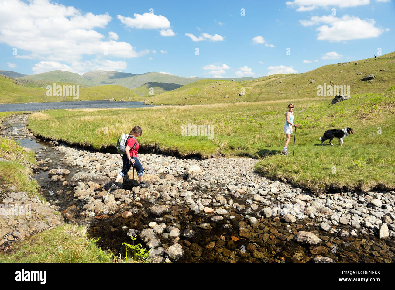 Fiel, zu Fuß in den Lake District National Park, Cumbria, England. Zwei Frauen mit Border Collie Hund. Easdeale Tarn, Grasmere. Stockfoto