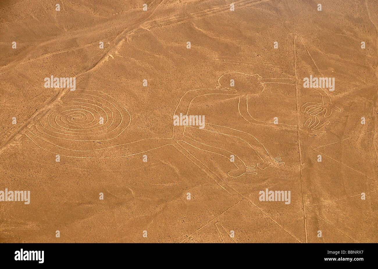 Ansicht der Nasca-Linien, Peru, aus der Luft Stockfoto