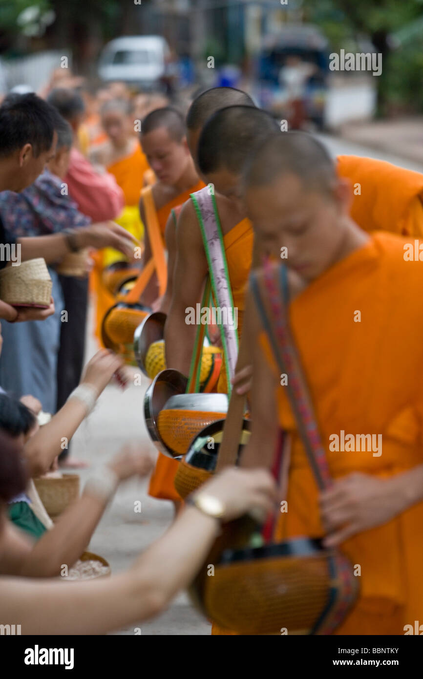 Luang Prabang, Laos; Buddhistische Mönche Angebote erhalten Stockfoto