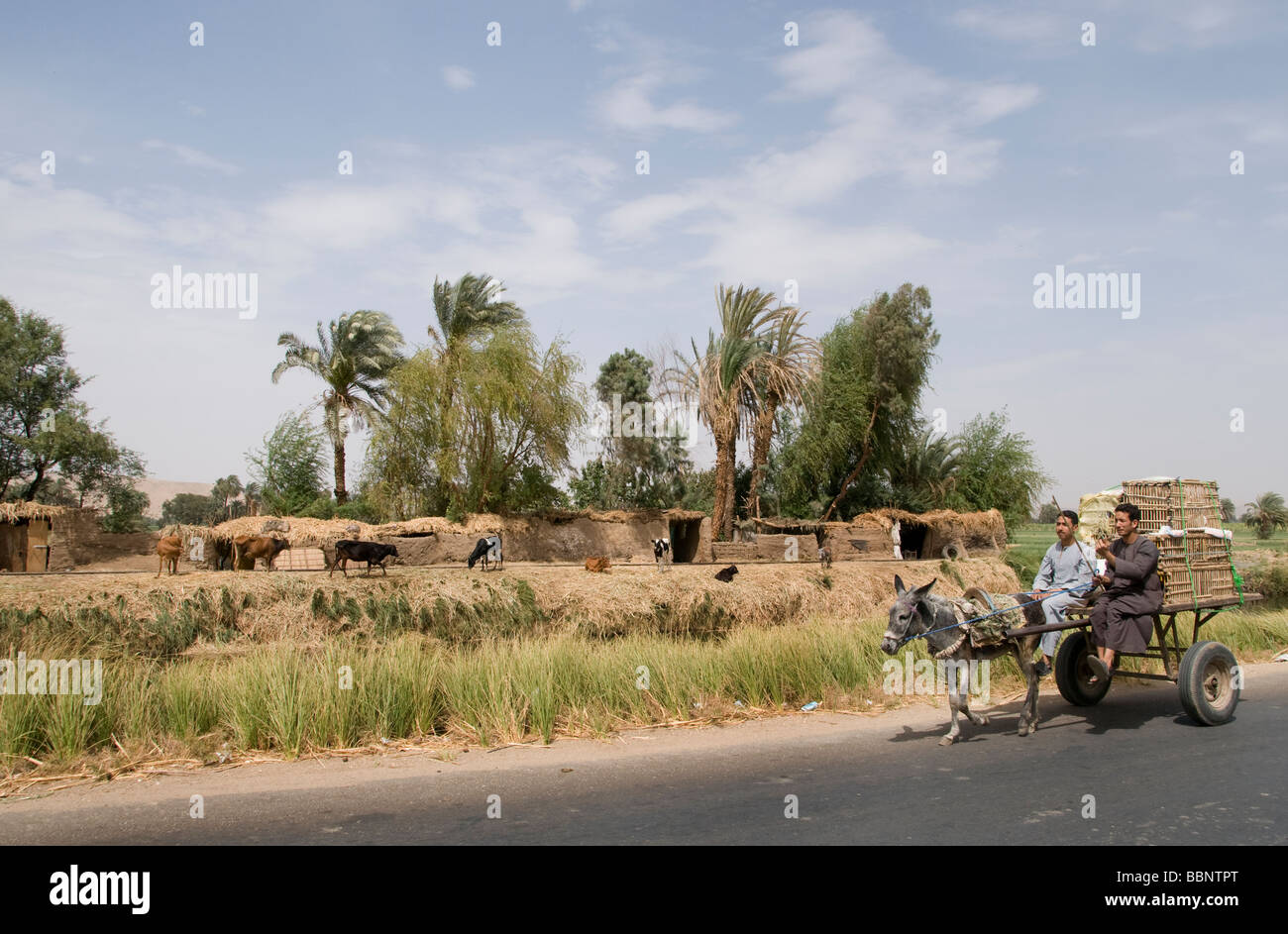 Nile River Ägypten Bauernhof Landwirt Landwirtschaft Feld Esel Wagen zwei Jungs Stockfoto