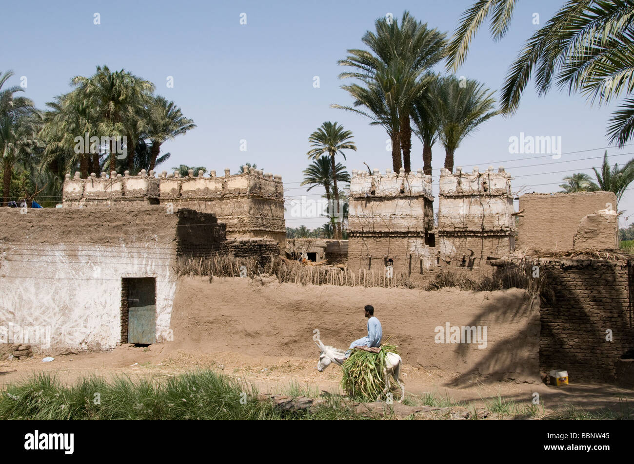 Ägypten Bauernhof Landwirtschaft Feld alte Bauerndorf auf dem Nil Fluß in der Nähe von Asyut Stockfoto