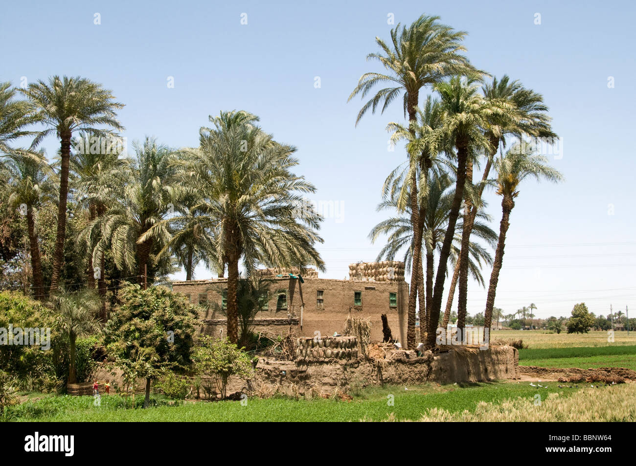 Nile River Ägypten Bauernhof Landwirtschaft Feld alte Bauerndorf auf dem Nil Stockfoto