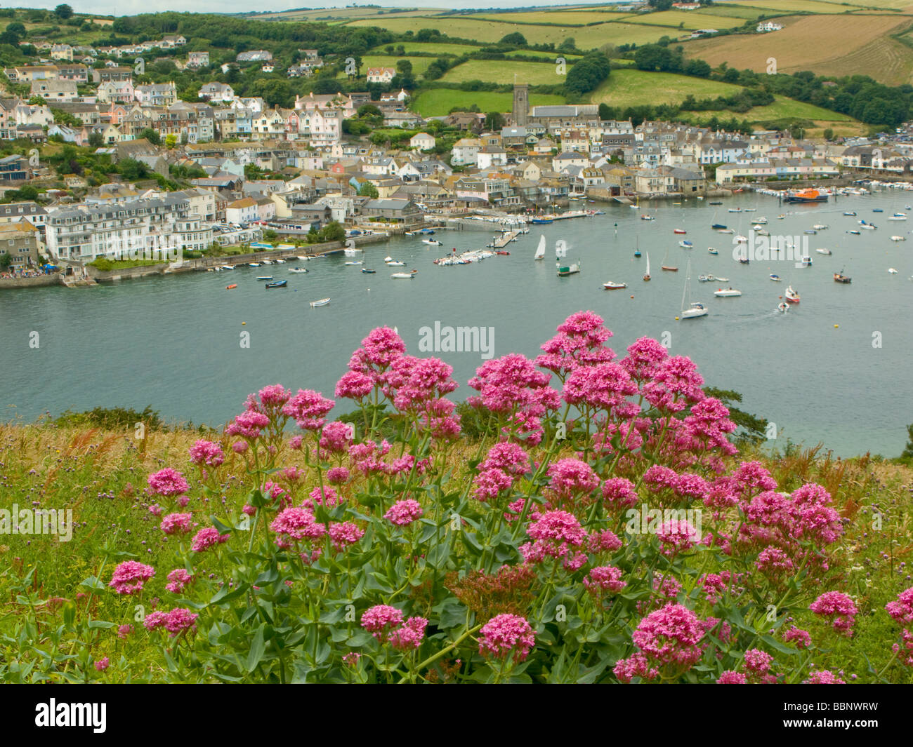 Salcombe South Devon UK Blick auf die Stadt an der Mündung der Salcombe Stockfoto