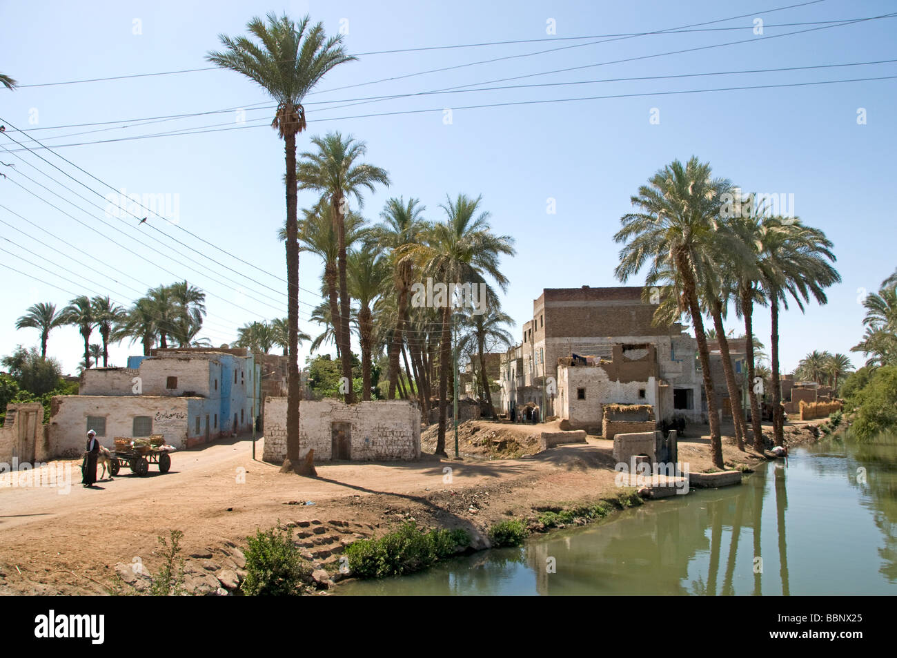 Nile River Ägypten Bauernhof Landwirtschaft Feld alte Bauerndorf auf dem Nil Stockfoto