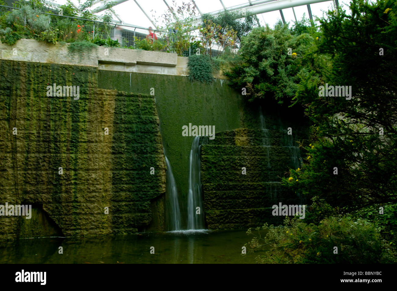 Großes Gewächshaus an der National Botanic Garden of Wales Llanarthne Carmarthenshire Stockfoto