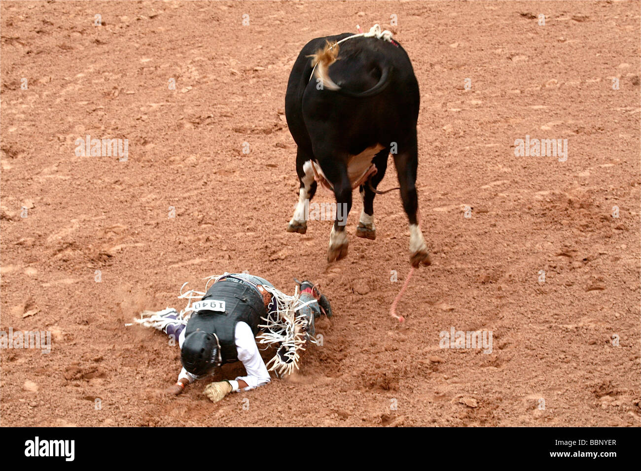 Indische Cowboy, von Bull auf stampfte bekommen Stockfoto