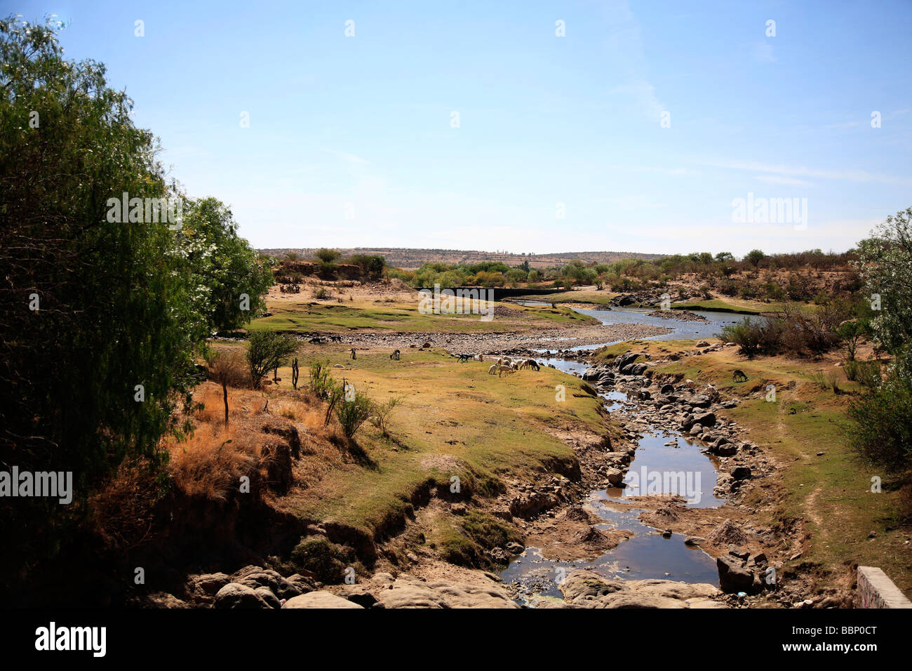 Landschaft-Fluss in einem nostalgischen Bild inspiriert Wildnis in Ruhe beautyful Horizont grün blaue Himmel Stockfoto