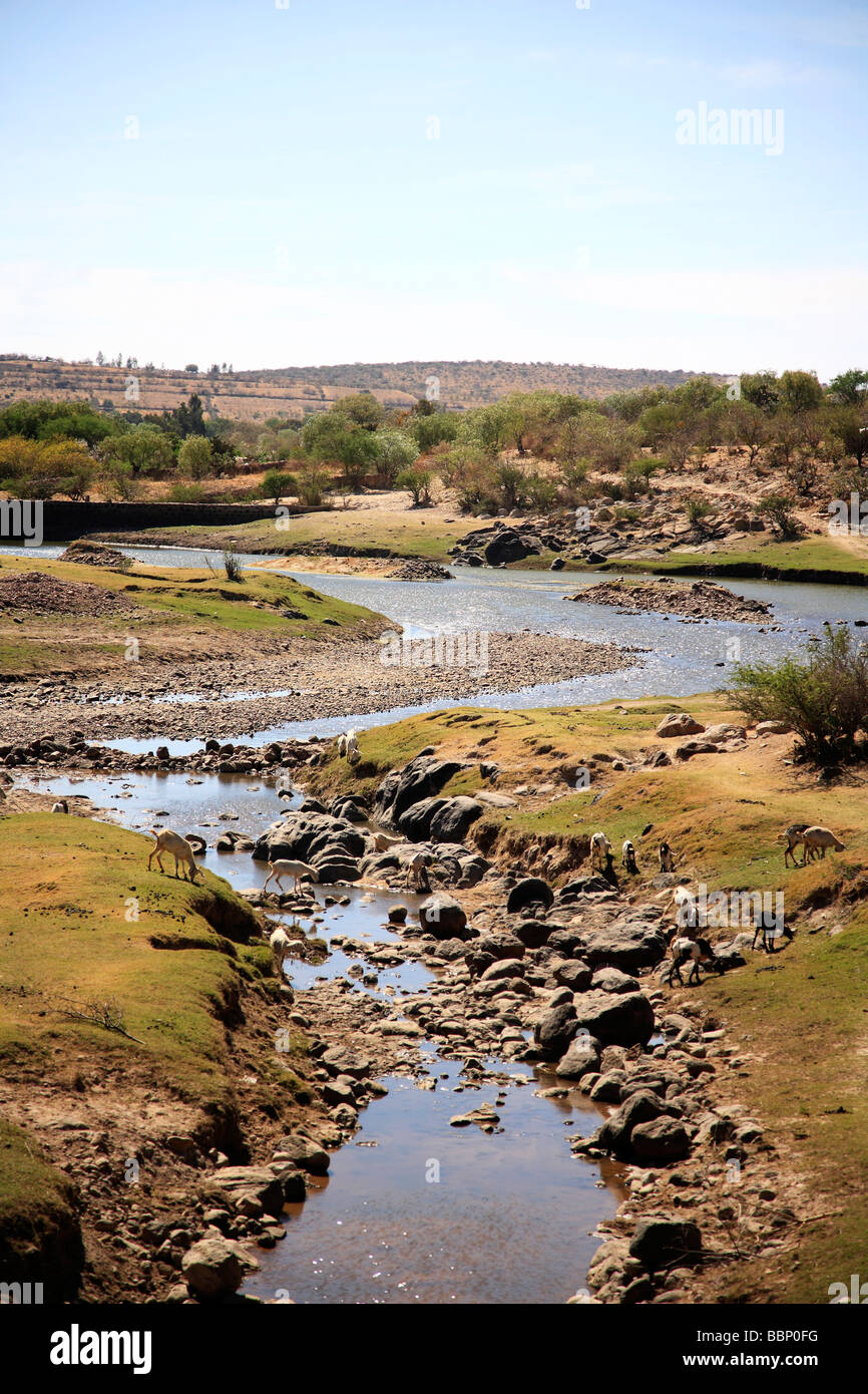 Landschaft-Fluss mit einem nostalgischen Bild inspiriert Wildnis in Frieden beautyful Horizont Grün Natur Tageslicht Stockfoto
