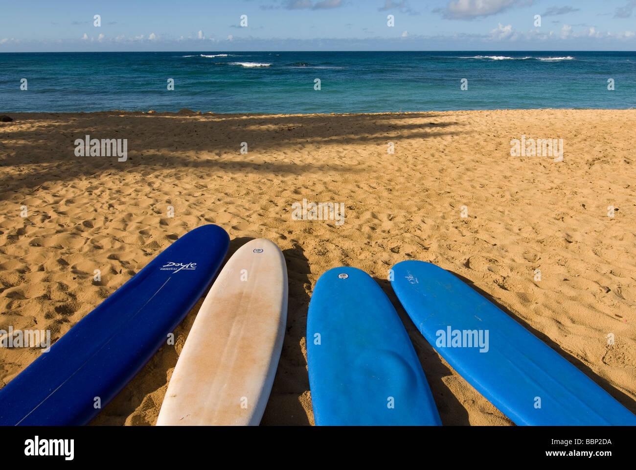 Surfbretter auf Kiahuna Strand Kauai Hawaii USA Stockfoto