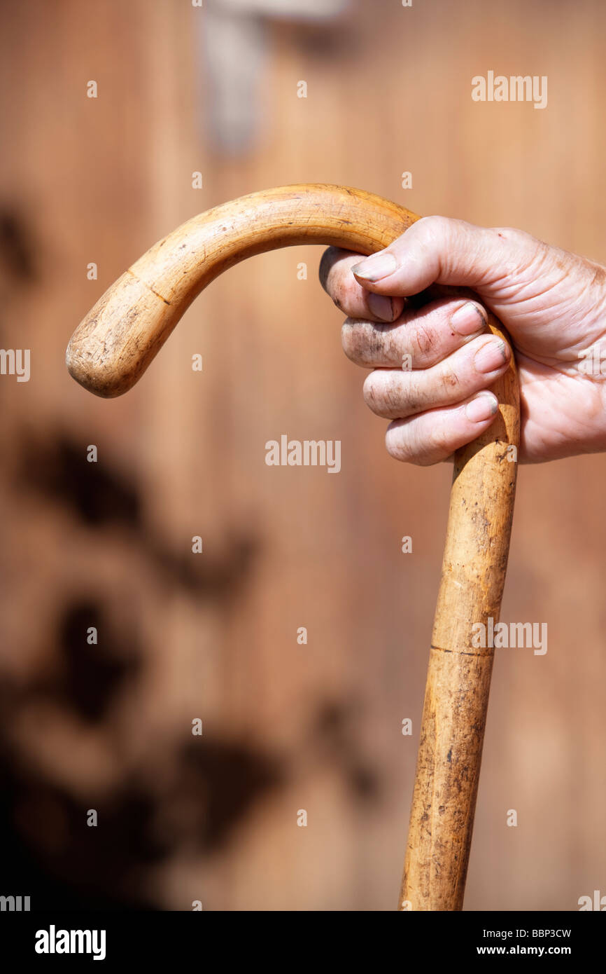 Hand von einer alten Bäuerin hält einen Spazierstock Stockfoto