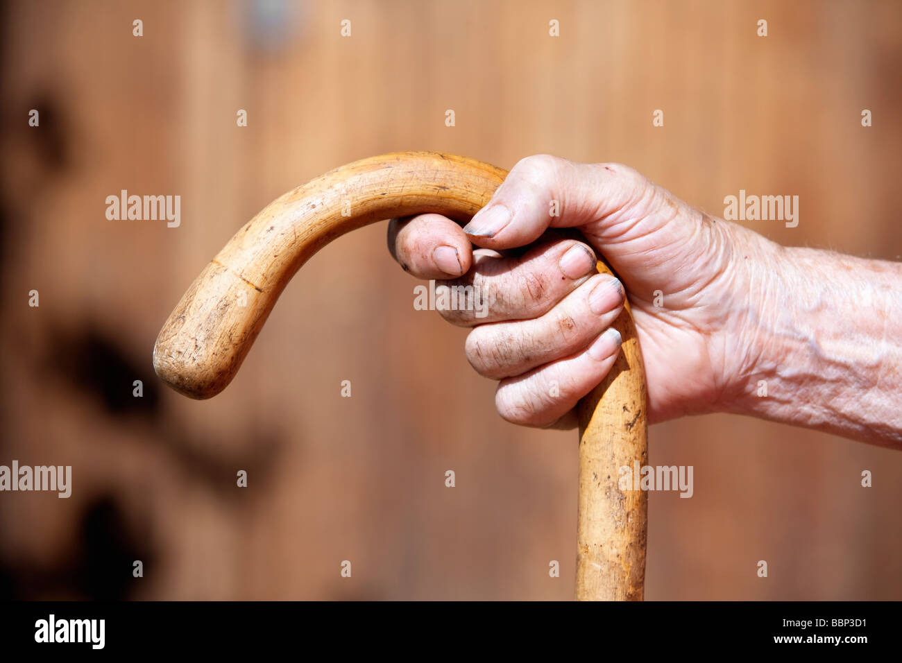 Hand von einer alten Bäuerin hält einen Spazierstock Stockfoto
