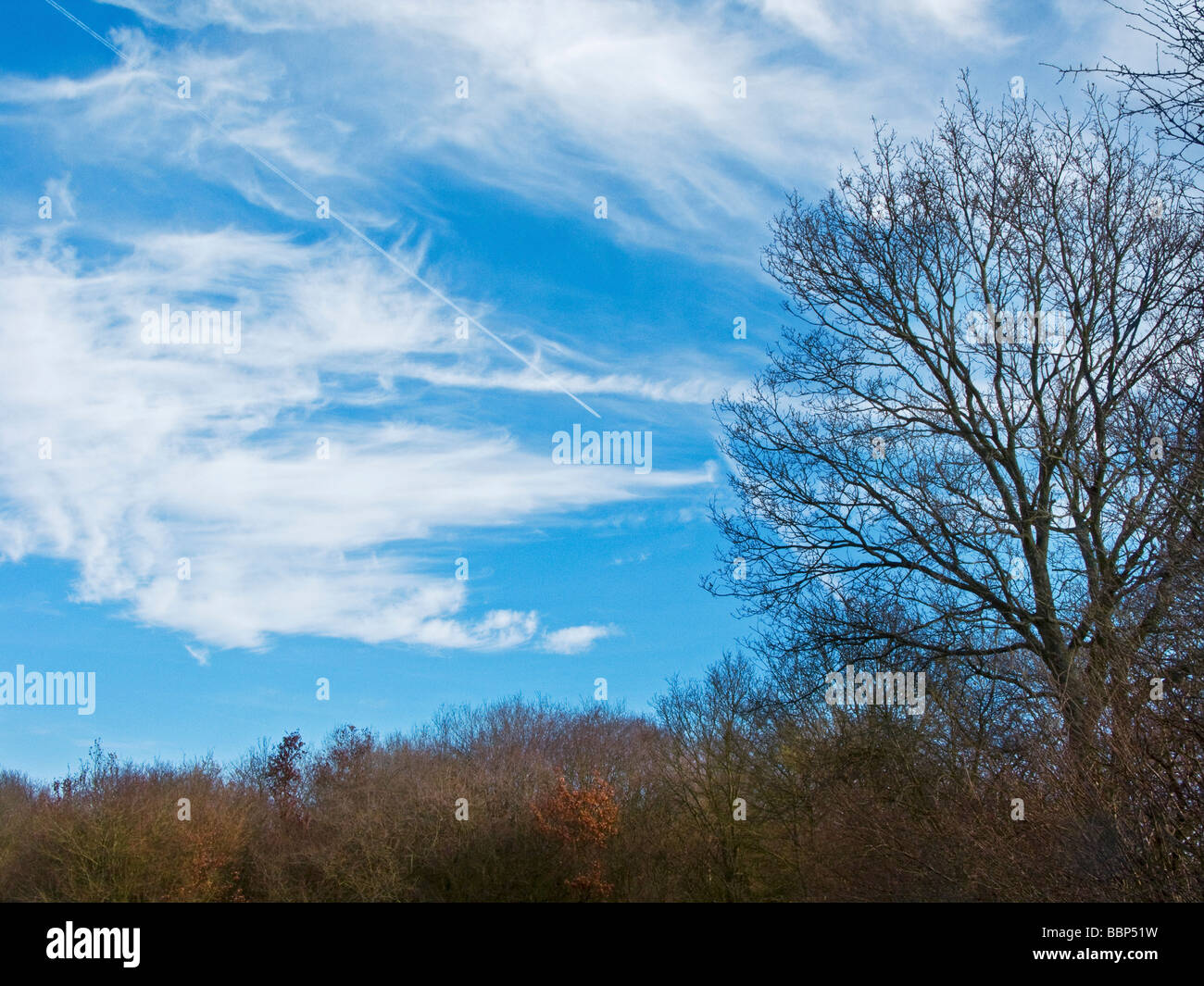 blauer Himmel, Wolken, Kent, England, Kondensstreifen Stockfoto