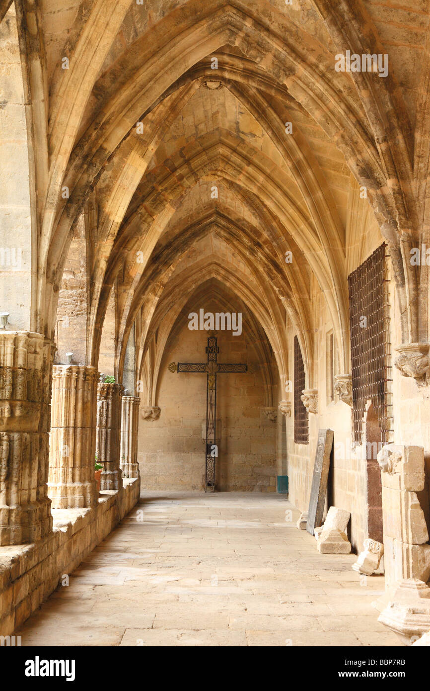 Gotische Säulenhalle Saint Nazaire Kathedrale Beziers Herault Languedoc-Roussillon Frankreich Stockfoto