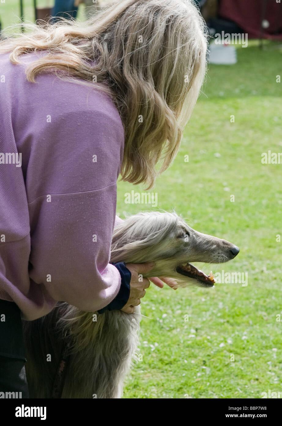 HUND UND BESITZER BEI EINEM DORFFEST Stockfoto