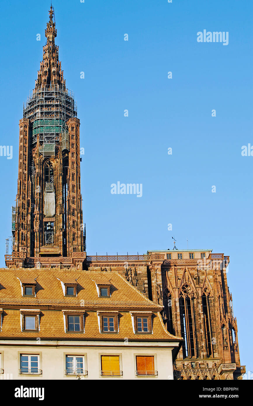 KATHEDRALE SPIRE GESEHEN VOM PLACE GUTENBERG, STRAßBURG, BAS-RHIN (67), ALSACE, FRANKREICH Stockfoto