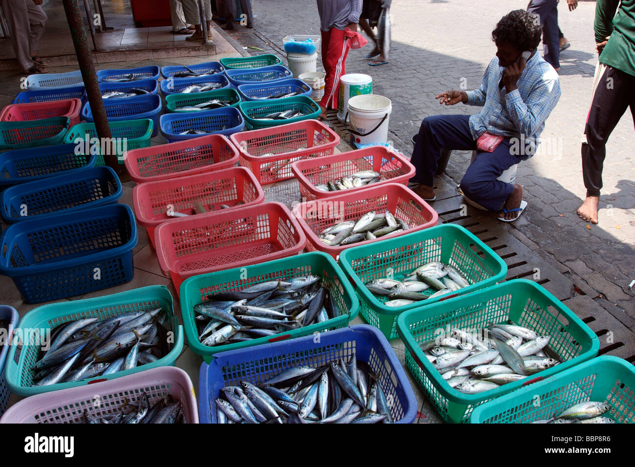 FISCHMARKT IN MALÉ, DER HAUPTSTADT DER MALEDIVEN, INDISCHER OZEAN Stockfoto