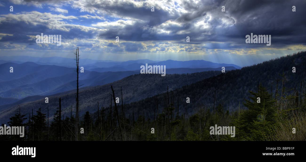 Blick von unten Clingman der Kuppel, Smoky Mountains National Park, Tennessee Stockfoto