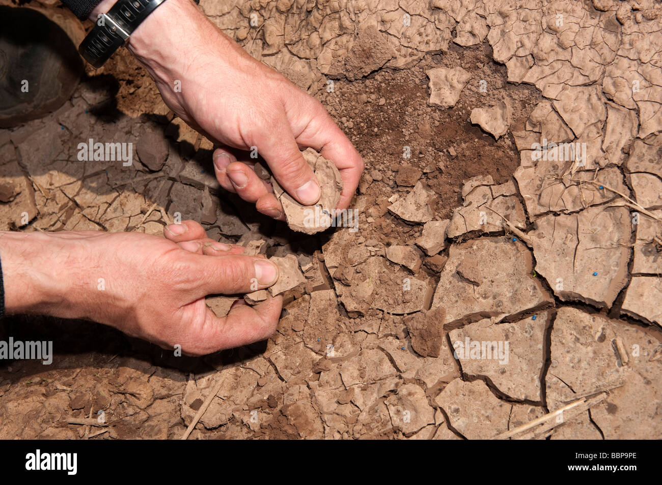 Landwirt betrachten und halten ausgetrockneten Boden die geknackt und ausgetrocknet Stockfoto