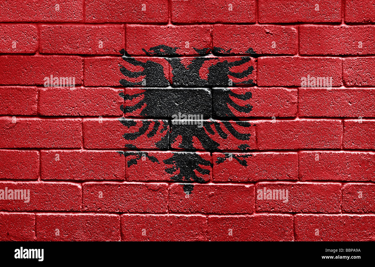 Flagge von Albanien Stockfoto