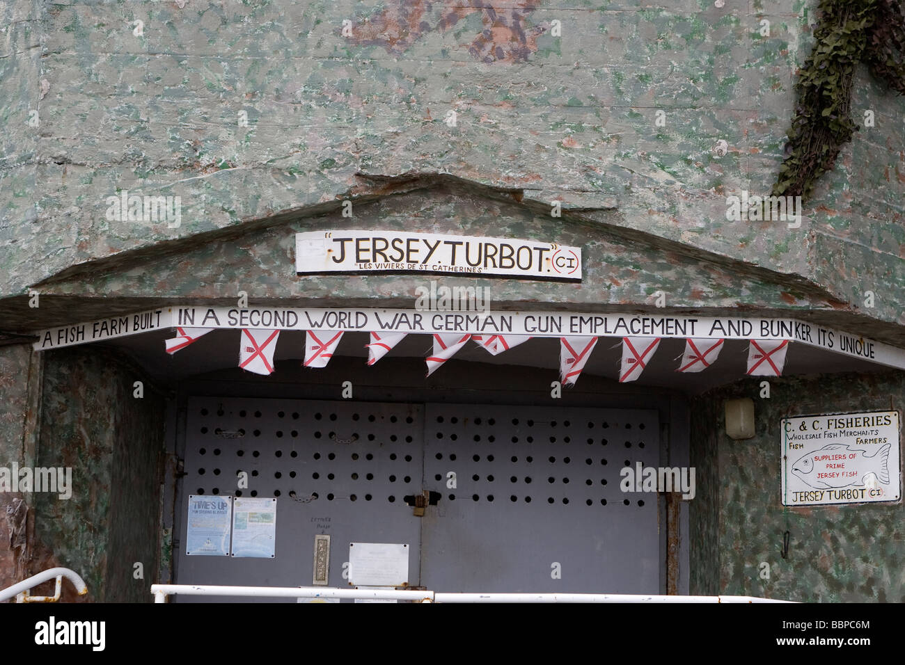 Jersey Steinbutt Company, Jersey, Kanalinseln, Großbritannien Stockfoto