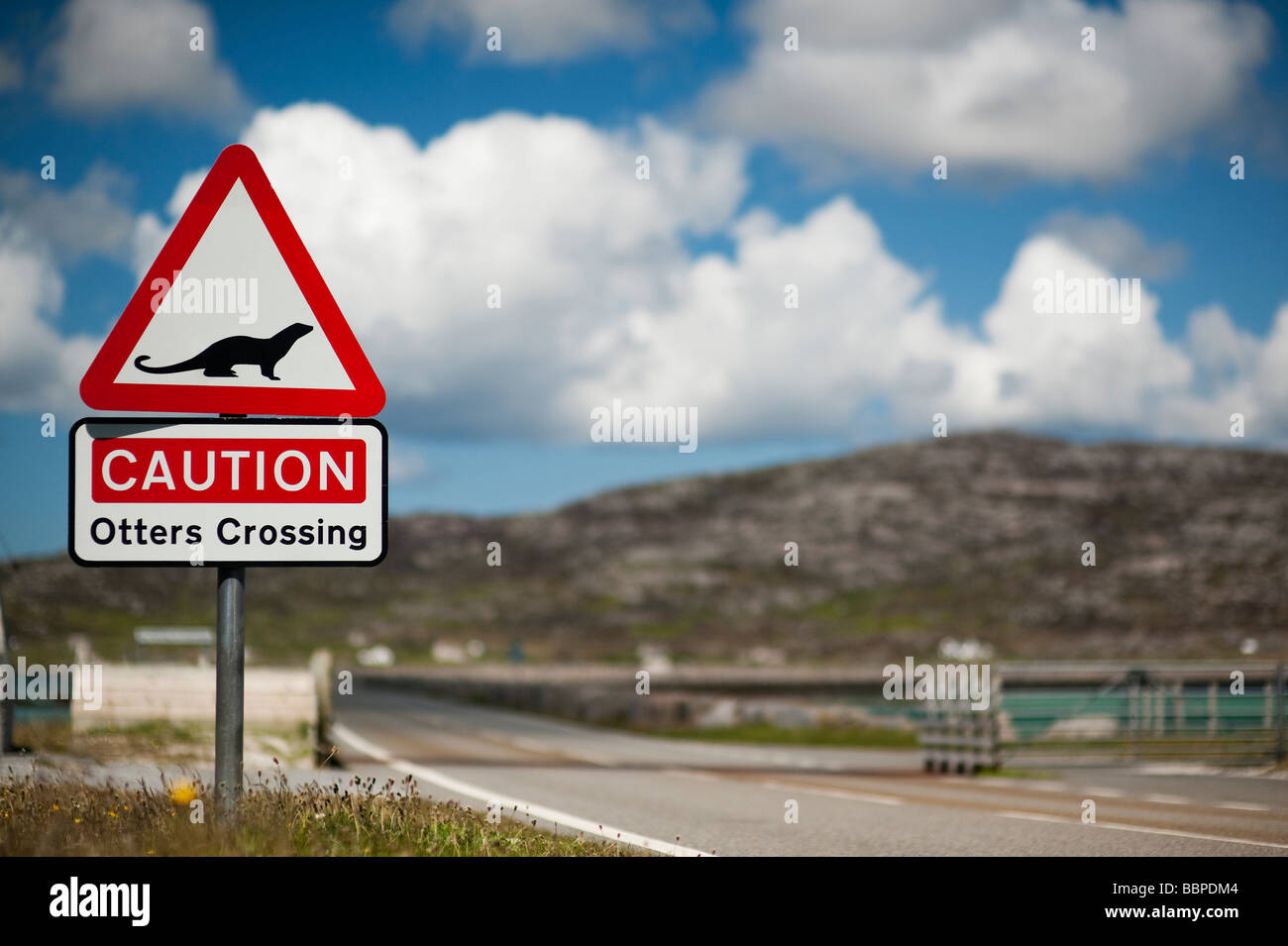 Otter, die Straße überqueren zu signieren, Eriskay Causeway, South Uist, äußeren Hebriden, Schottland Stockfoto