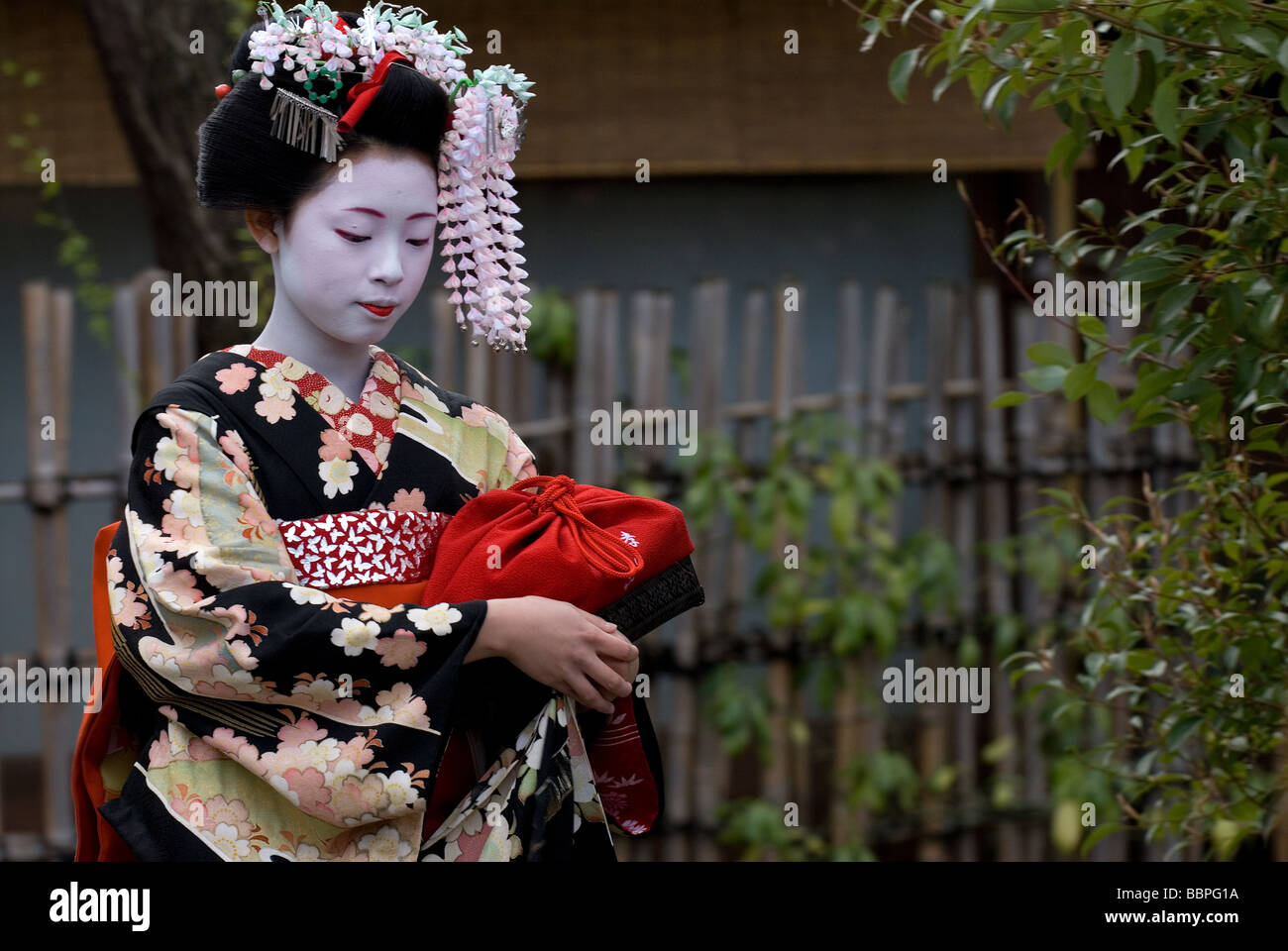 Ein Lehrling Geisha oder Maiko, zu Fuß entlang einer Gasse in Kyotos Shimbashi Stadtteil Gion. Stockfoto