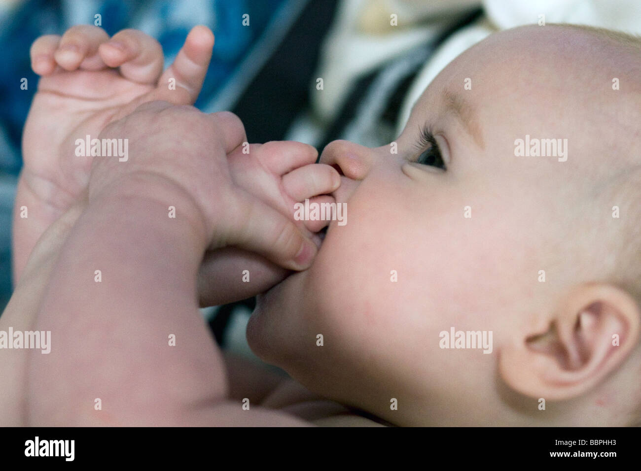 Baby saugt Zehen Stockfoto