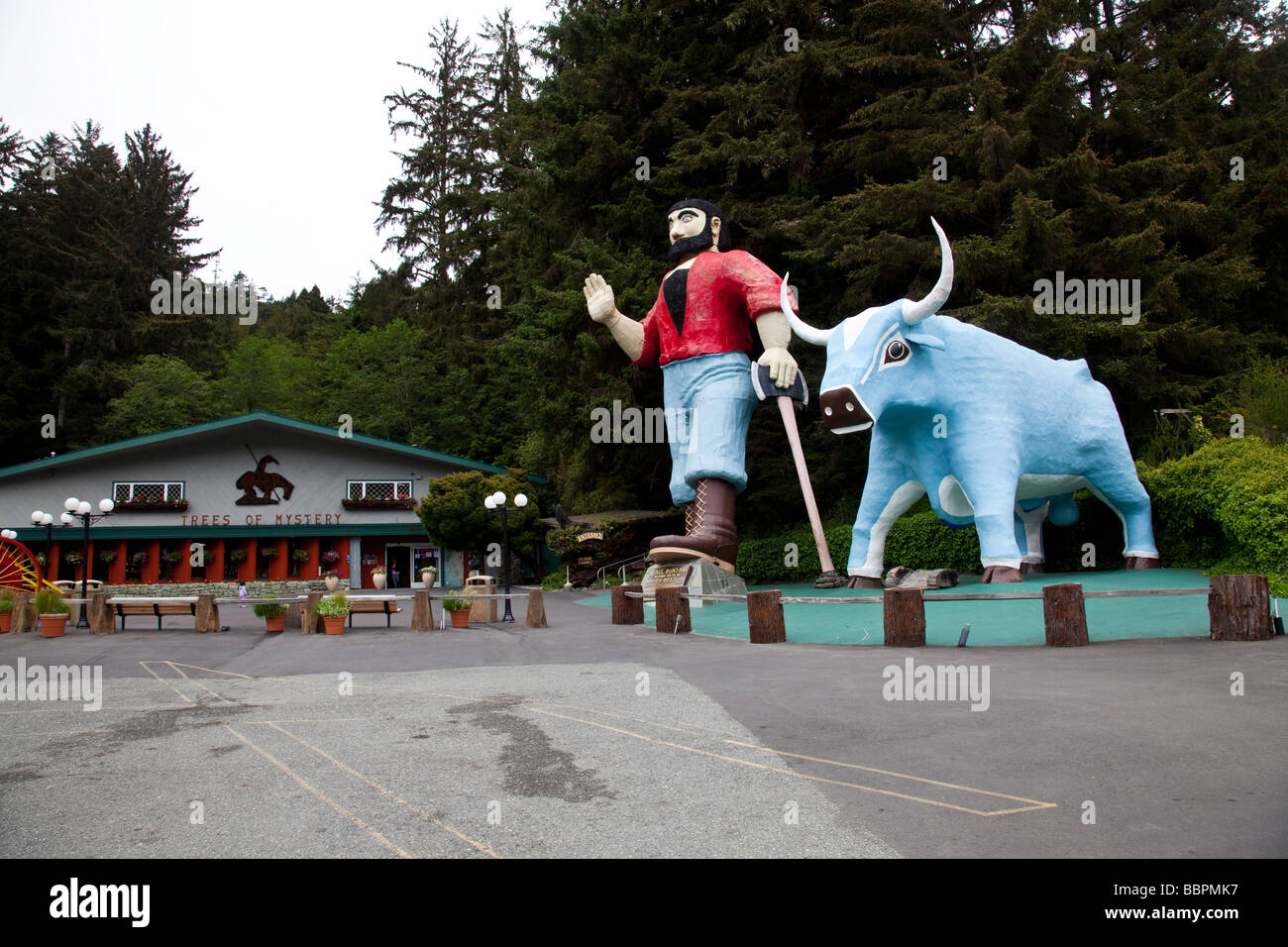 Motel-Bäume auf die Bäume des Mysteriums in der Nähe von Redwood National Park in Kalifornien Stockfoto