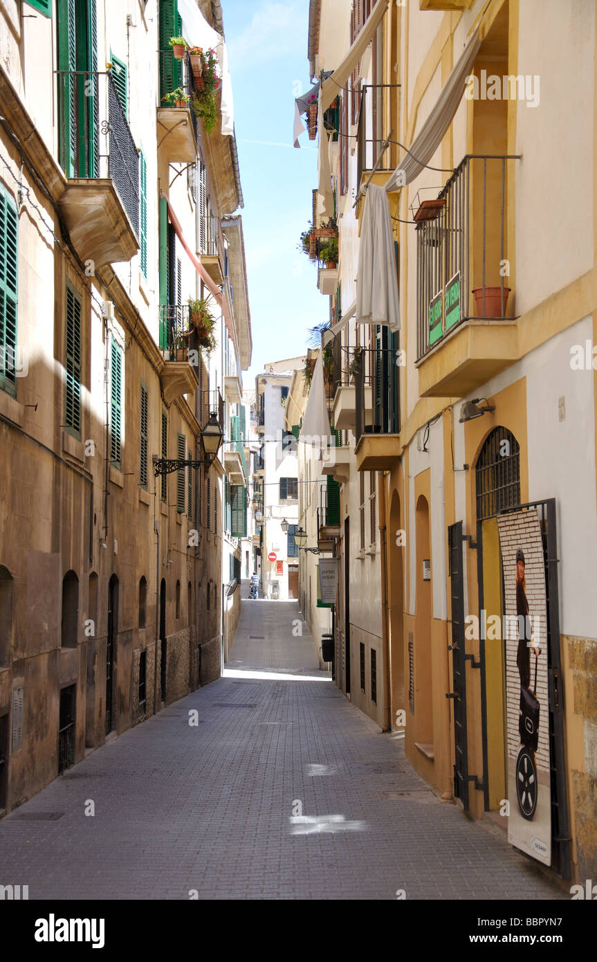 Gasse in der Altstadt, Palma De Mallorca, Palma Stadt, Mallorca, Balearen, Spanien Stockfoto