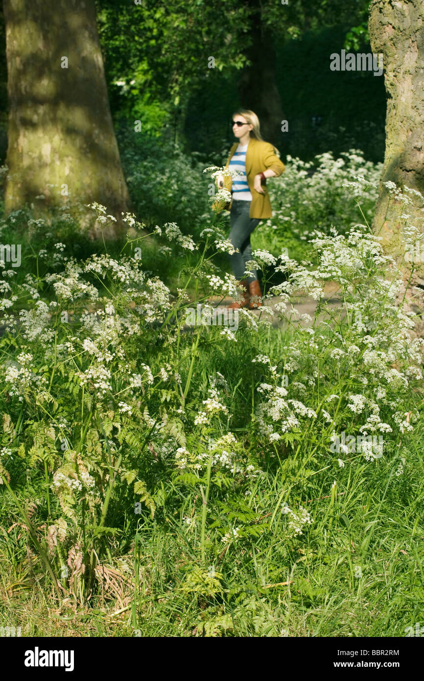 Regent Park London England Englisch Stockfoto