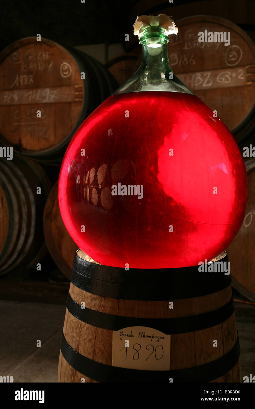KORBFLASCHE ALTEN COGNAC AUS DEM JAHRE 1890 IN EINEM WEINKELLER, EAU-DE-VIE AUS EINER APPELLATION ORIGINE CONTROLEE, CHARENTE (16) Stockfoto