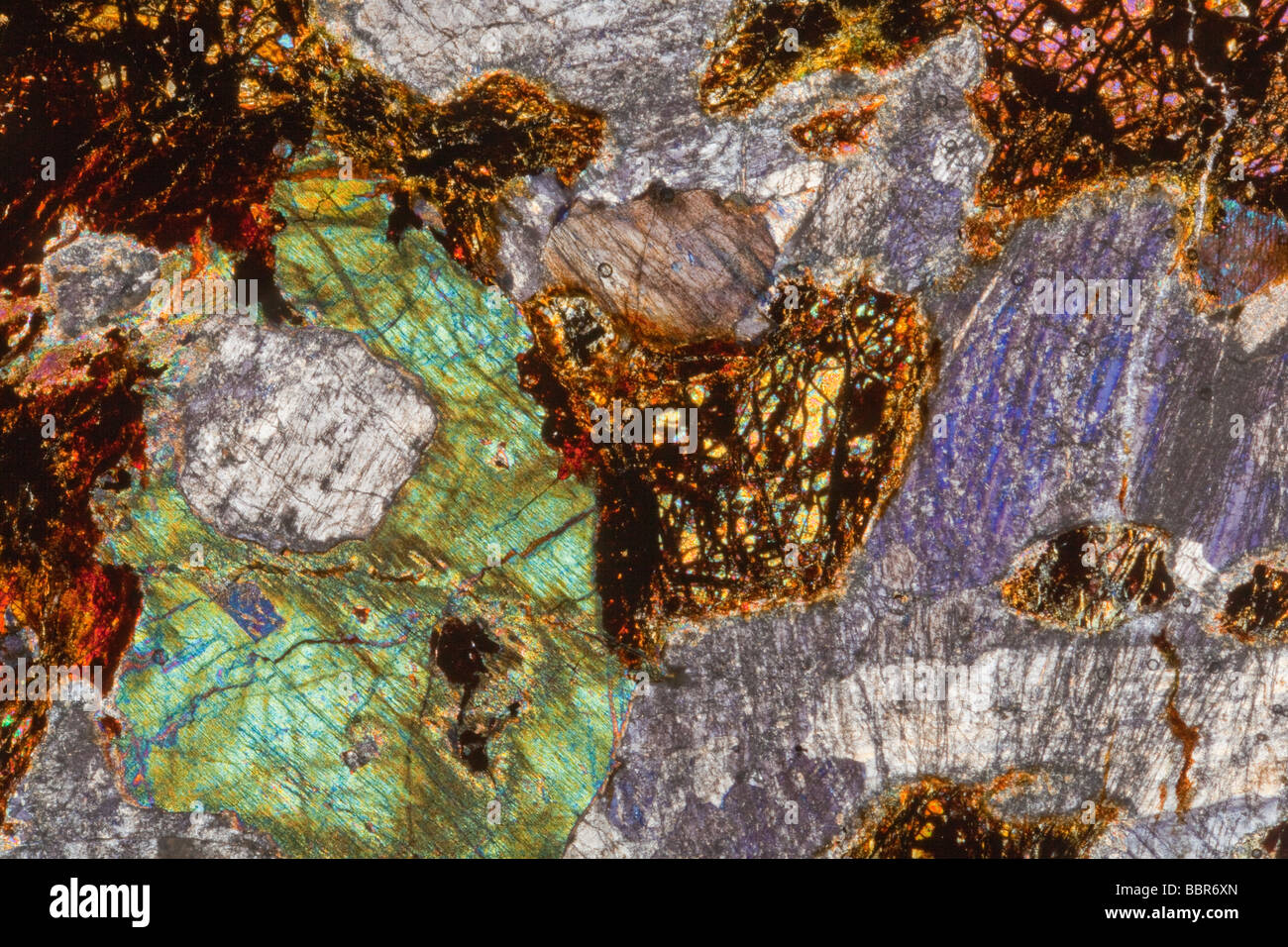 Troctolite Gabbro Folie Abschnitt Kreuz polarisiertes Licht Mikrophotographie, Cornwall, UK Stockfoto
