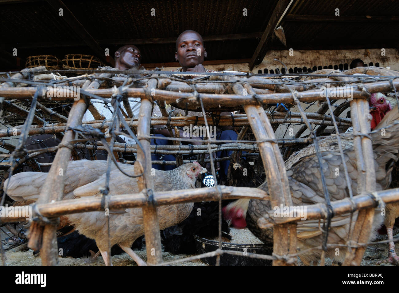 Ein Anbieter verkaufen Huhn auf dem Markt in der Hauptstadt Lilongwe Malawi Afrika Stockfoto