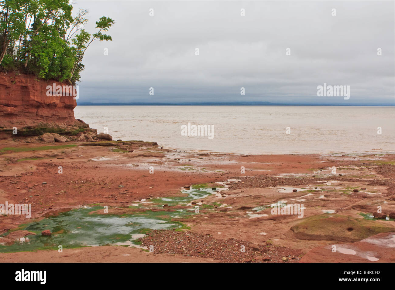 Burncoat Head Park - Bay Of Fundy, Minas Basin, Burncoat Kopf, Nova Scotia, Kanada Stockfoto