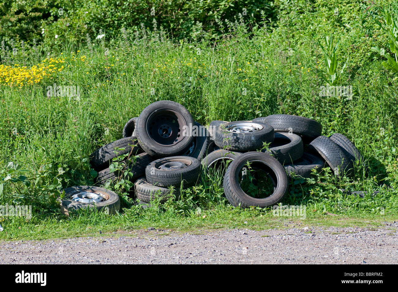 Illegale Fliege kippen. Verlassene Reifen im Parkhaus des Naturschutzgebietes Stockfoto