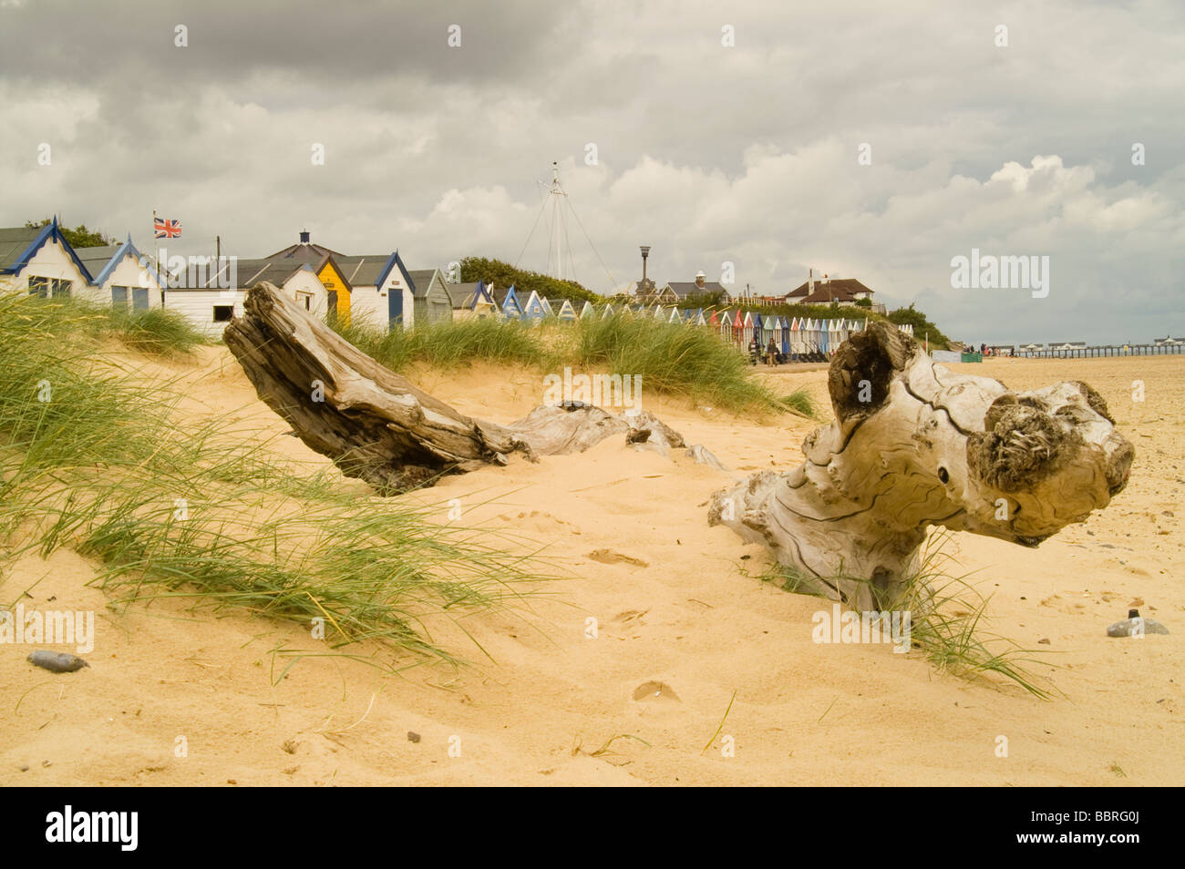 Toten Baumstamm gewaschen am Strand vor dramatischen Himmel Stockfoto