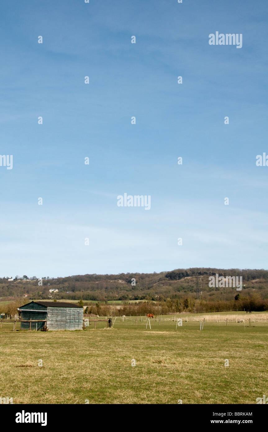 A in einem Feld in der Grafschaft Kent zu vergießen Stockfoto