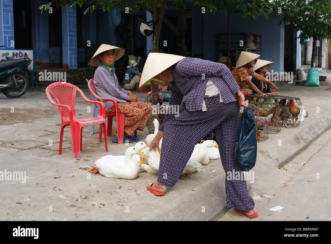 Vietnamesin kaufen live Ente aus [Flohmarkt], ' an ' Hoi an, Vietnam Stockfoto